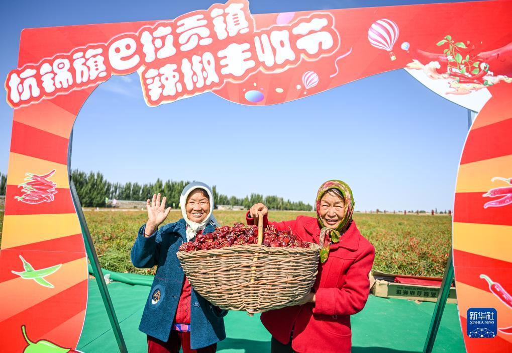 迎新跳槽网投彩金网